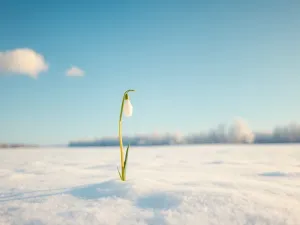 Luty znak zodiaku – co warto wiedzieć o osobach urodzonych w lutym?